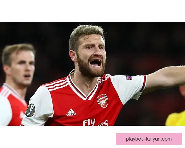 克里斯·理查兹在英超表现稳定，状态持续提升引人注目